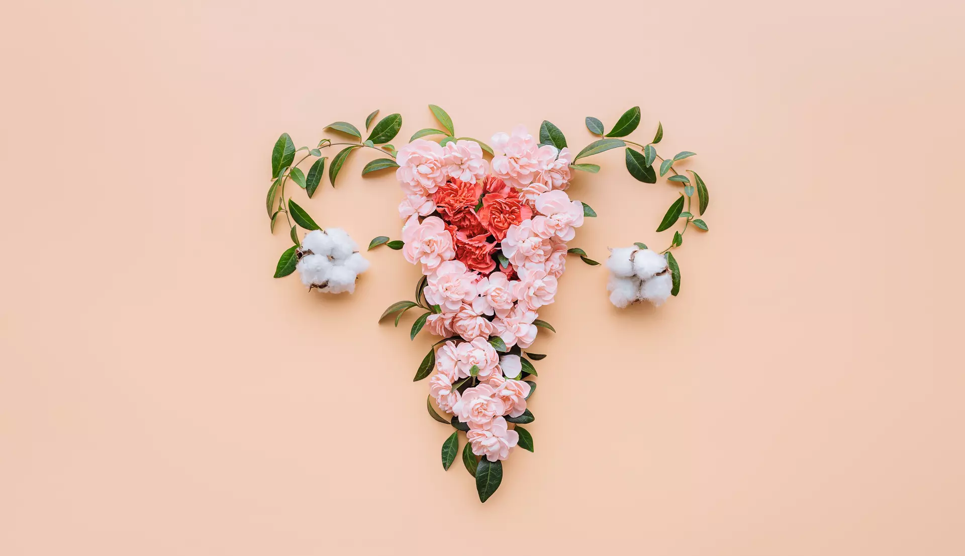 PCOS Diagnostic Workups & Care